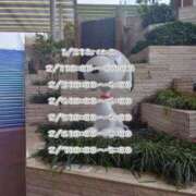 ヒメ日記 2026/01/31 12:18 投稿 彩奈(あやな) 相模原人妻城