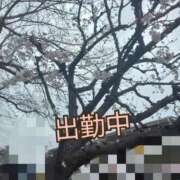 ヒメ日記 2026/03/25 09:27 投稿 彩奈(あやな) 相模原人妻城