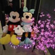 ヒメ日記 2026/03/30 12:33 投稿 彩奈(あやな) 相模原人妻城