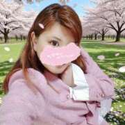 ヒメ日記 2026/04/01 09:48 投稿 彩奈(あやな) 相模原人妻城