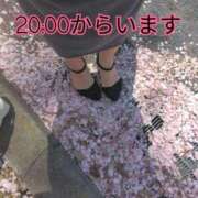 ヒメ日記 2026/04/03 15:48 投稿 彩奈(あやな) 相模原人妻城