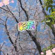ヒメ日記 2026/04/03 19:57 投稿 彩奈(あやな) 相模原人妻城