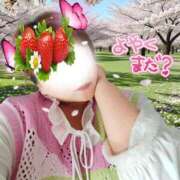 ヒメ日記 2026/04/13 12:03 投稿 彩奈(あやな) 相模原人妻城