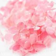 あき 11/28 1:30～のしんきさん♡ ごほうびSPA名古屋店