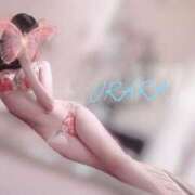 ヒメ日記 2025/12/05 14:01 投稿 うらら ふぁーすと・きす