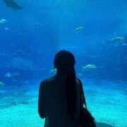 ヒメ日記 2025/12/26 19:51 投稿 イロハ いたずらバニーちゃん