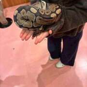 ヒメ日記 2026/01/12 13:20 投稿 イロハ いたずらバニーちゃん