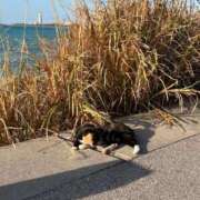 ヒメ日記 2026/02/14 20:10 投稿 イロハ いたずらバニーちゃん