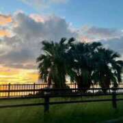 ヒメ日記 2026/04/13 15:20 投稿 イロハ いたずらバニーちゃん