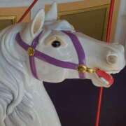 ヒメ日記 2026/01/14 08:26 投稿 なみ 吉原ファーストレディ