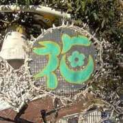 ヒメ日記 2026/01/16 10:03 投稿 なみ 吉原ファーストレディ