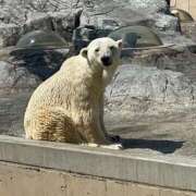 ヒメ日記 2026/01/22 19:56 投稿 なみ 吉原ファーストレディ