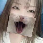 ヒメ日記 2026/02/19 11:06 投稿 なみ 吉原ファーストレディ