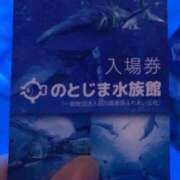 ヒメ日記 2026/02/25 15:56 投稿 なみ 吉原ファーストレディ