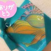 ヒメ日記 2026/05/29 13:17 投稿 みく ごほうびSPA 新宿店