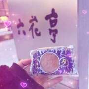 ヒメ日記 2026/02/19 15:16 投稿 れい THE ESUTE HOUSE 柴田