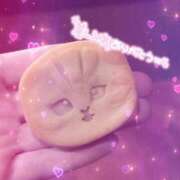 ヒメ日記 2026/02/26 16:16 投稿 れい THE ESUTE HOUSE 柴田