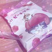 ヒメ日記 2026/03/03 11:46 投稿 れい THE ESUTE HOUSE 柴田