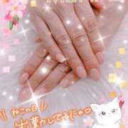 みらい 伊勢佐木町に参りますニャン🐱💕 華椿（YESグループヨコハマ）