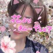 みらい 熟女の華マン♡開したくない❓ 華椿（YESグループヨコハマ）