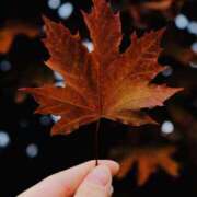 ヒメ日記 2025/12/17 11:57 投稿 まほ Applepie（アップルパイ）