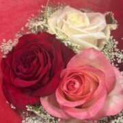 ヒメ日記 2026/01/04 11:43 投稿 まほ Applepie（アップルパイ）