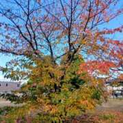 はる お久しぶりです? 香川高松ちゃんこ