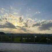 ヒメ日記 2026/02/22 17:17 投稿 かびごん 上野ハンドメイド