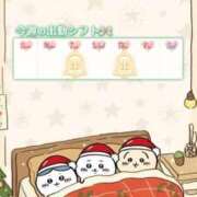 しらゆき ❄️今週の予定　12/4まで❄️ 丸妻 横浜本店