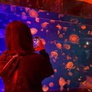 ヒメ日記 2025/12/06 18:03 投稿 タイム 飾窓