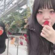 ヒメ日記 2026/02/08 23:58 投稿 タイム 飾窓