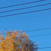 ののか 今季1番の 出会い系人妻ネットワーク 上野〜大塚編