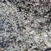 ヒメ日記 2026/04/03 10:27 投稿 ののか 出会い系人妻ネットワーク 上野〜大塚編