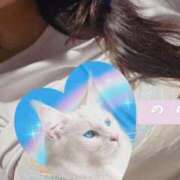 ヒメ日記 2026/08/09 11:31 投稿 ののか 出会い系人妻ネットワーク 上野〜大塚編
