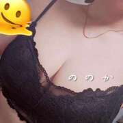 ヒメ日記 2026/09/20 10:34 投稿 ののか 出会い系人妻ネットワーク 上野〜大塚編