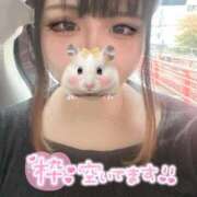 ヒメ日記 2025/11/24 12:29 投稿 じゅり サンキュー福岡店