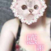 ヒメ日記 2025/11/25 04:59 投稿 じゅり サンキュー福岡店