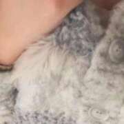 ヒメ日記 2025/11/24 18:46 投稿 しおり One More 奥様　西船橋店