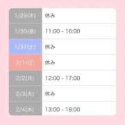 ヒメ日記 2026/01/28 13:11 投稿 佐貫もえか THE痴漢電車.com