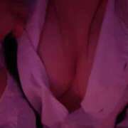 ヒメ日記 2026/02/16 18:00 投稿 ろあ あふたーすくーる