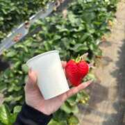 ヒメ日記 2026/04/07 15:58 投稿 ろあ あふたーすくーる