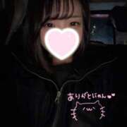 かぐら ?ねこ? 横浜シンデレラ（シンデレラグループ）