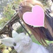 ヒメ日記 2026/01/16 19:05 投稿 りお おいらん遊郭