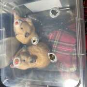 ヒメ日記 2026/02/28 19:24 投稿 はな 釧路デリヘル聖域　サンクチュアリ～神々の厳格～