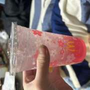 ヒメ日記 2026/03/12 21:08 投稿 はな 釧路デリヘル聖域　サンクチュアリ～神々の厳格～