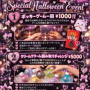 ヒメ日記 2026/10/11 13:02 投稿 にゃん X-PARTY
