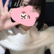 ヒメ日記 2025/11/29 17:17 投稿 はな 秋葉原鑑賞ガール