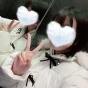 ヒメ日記 2026/01/15 10:48 投稿 ことり 俺のKissリフレ