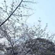 ヒメ日記 2026/04/05 18:11 投稿 ゆゆ 高級オナクラ　ひよこクラブ
