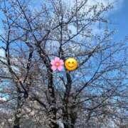 ヒメ日記 2026/04/03 11:58 投稿 星川 鶯谷人妻城